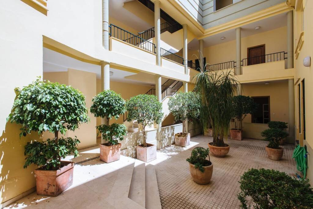 Cozy And Well Located In The Center Of Appartement *